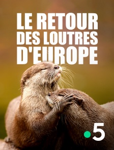 France 5 - Le retour des loutres d'Europe