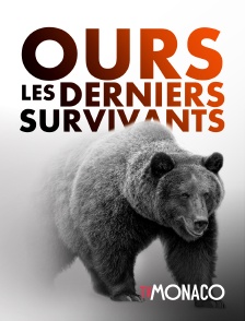 TV Monaco - Bears: Ultimate Survivors en replay