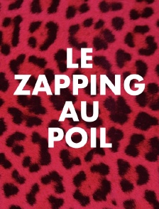 Le zapping au poil