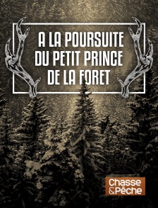 Chasse et pêche - A la poursuite du petit prince de la forêt