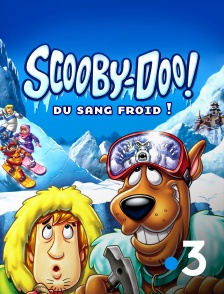 France 3 - Scooby-Doo, du sang froid ! *2007