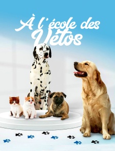 A l'école des vétos