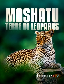 france.tv - Mashatu, terre de léopards