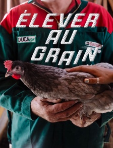 Elever au grain