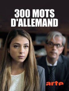Arte - 300 mots d'allemand