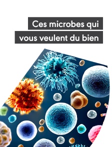 Ces microbes qui vous veulent du bien