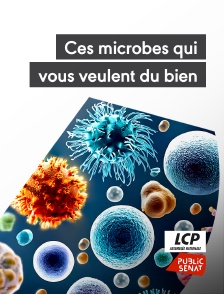 LCP Public Sénat - Ces microbes qui vous veulent du bien