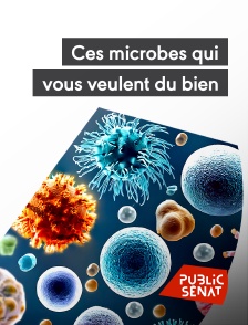 Public Sénat - Ces microbes qui vous veulent du bien