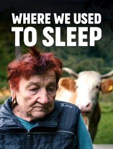 Where We Used to Sleep