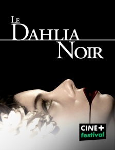 Le dahlia noir