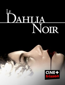 Le dahlia noir