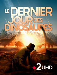 France 2 UHD - Le dernier jour des dinosaures