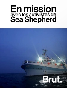 En mission avec les activistes de Sea Shepherd