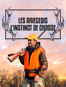 Les ariégeois, l'instinct de chasse