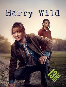 13EME RUE - Harry Wild (2022)