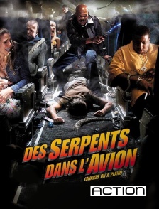 ACTION - Des serpents dans l'avion