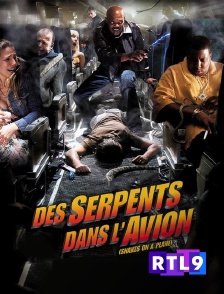 RTL 9 - Des serpents dans l'avion
