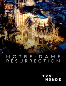 TV5MONDE - Notre-Dame Résurrection