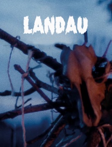 Landau