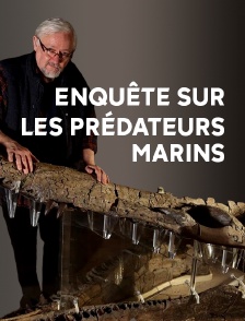 Enquête sur les prédateurs marins
