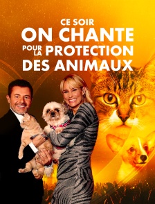 Ce soir on chante pour la protection des animaux