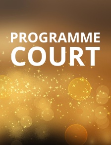 Programme court
