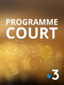 France 3 - Programme court