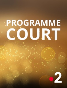 France 2 - Programme court