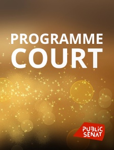 Public Sénat - Programme court