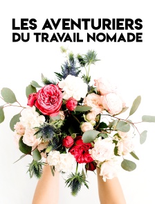 Les aventuriers du travail nomade