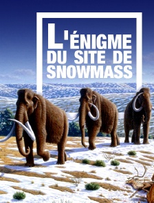 L'énigme du site de Snowmass