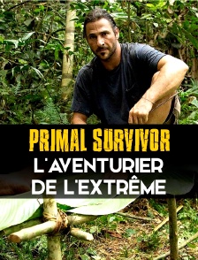 Primal Survivor, l'aventurier de l'extrême
