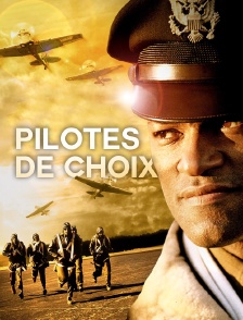 Pilotes de choix