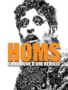 Homs, chronique d'une révolte