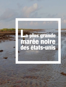 La plus grande marée noire des Etats-Unis