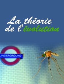 La théorie de l'évolution