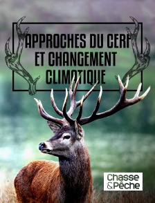 Chasse et pêche - Approches du cerf et changement climatique