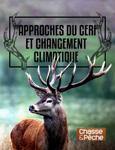 Approches du cerf et changement climatique