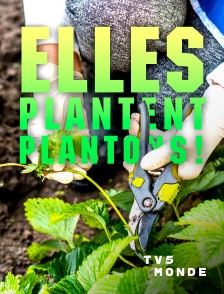 TV5MONDE - Elles plantent, plantons !