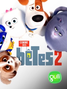 Gulli - Comme des bêtes 2