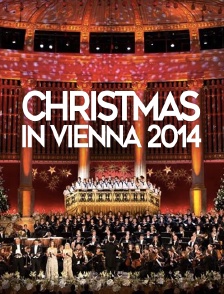 Christmas in Vienna 2014