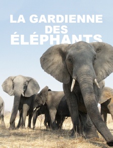 La gardienne des éléphants