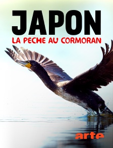 Arte - Au Japon, la pêche au cormoran : Une tradition millénaire