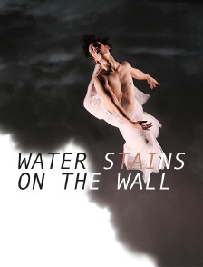 Water Stains on the Wall