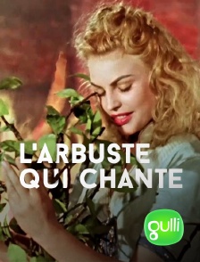 L'arbuste qui chante