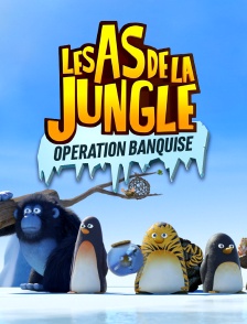 Les as de la jungle : opération banquise