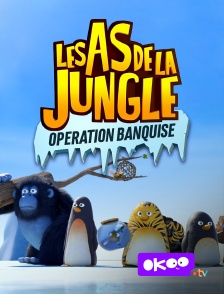 Okoo - Les as de la jungle : opération banquise