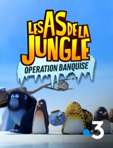 France 3 - Les as de la jungle : opération banquise