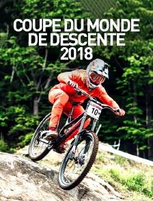 Coupe du monde de descente 2018