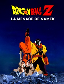 Dragon Ball Z : la menace de namek